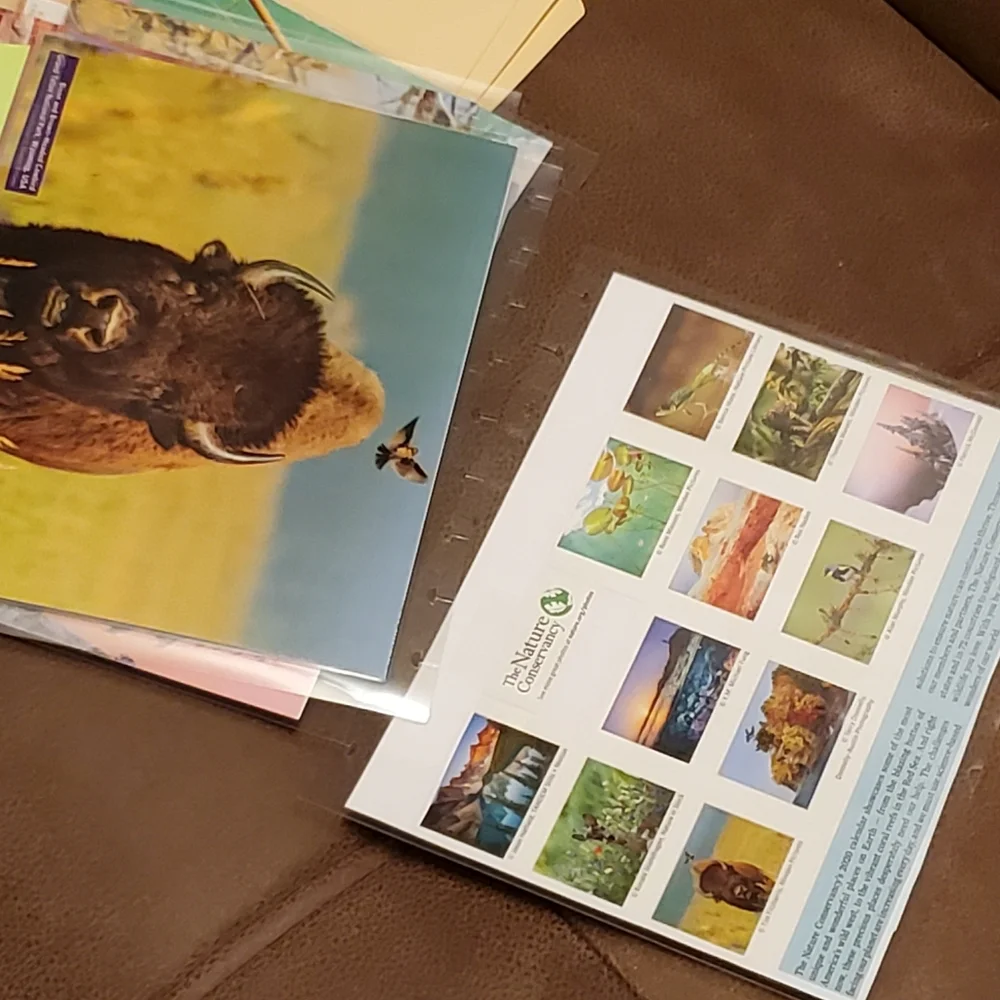 Homemade cover and 5 dashboards/dividers for a classic sized disc bound planner